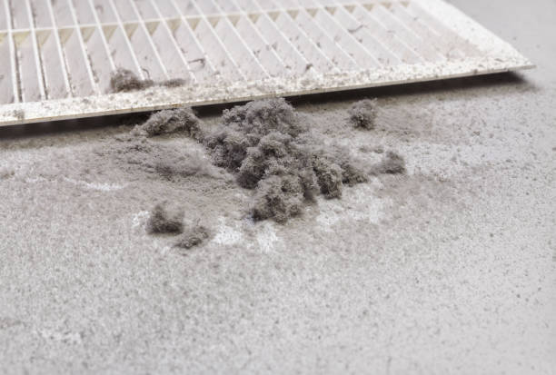 Best HVAC Duct Inspection Services  in Lawton, IA