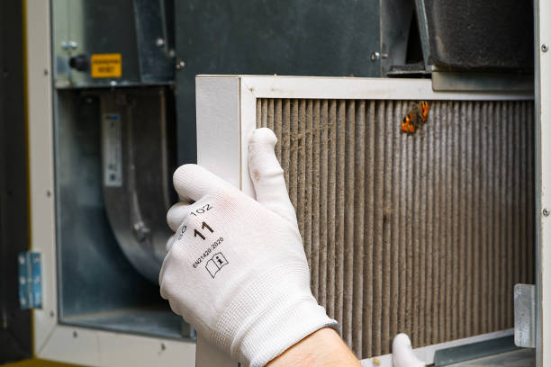 Best Dryer Vent Cleaning Services  in Lawton, IA