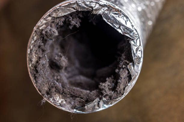 Best Affordable Duct Cleaning Services  in Lawton, IA