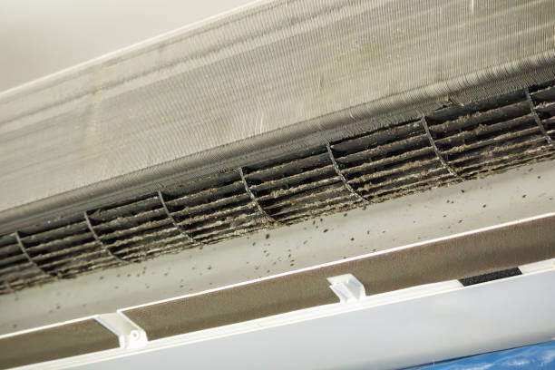 Best HVAC Air Duct Cleaning  in Lawton, IA
