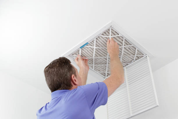 Best Air Duct Sanitizing Services  in Lawton, IA